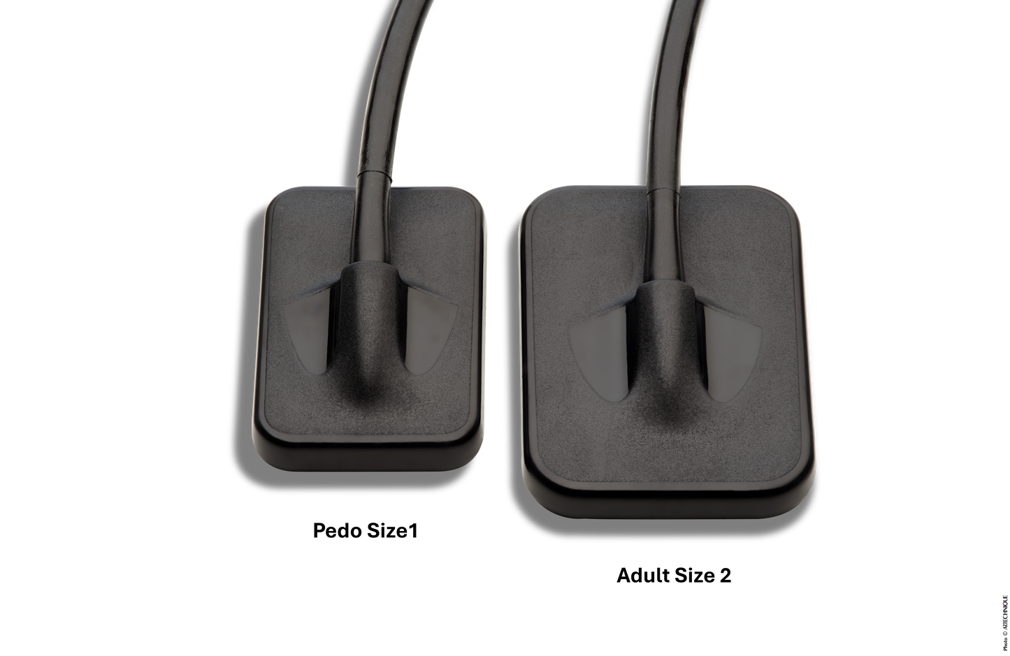 TuxDeluxe Digital X-Ray Sensor Adult Size 2 High Resolution
