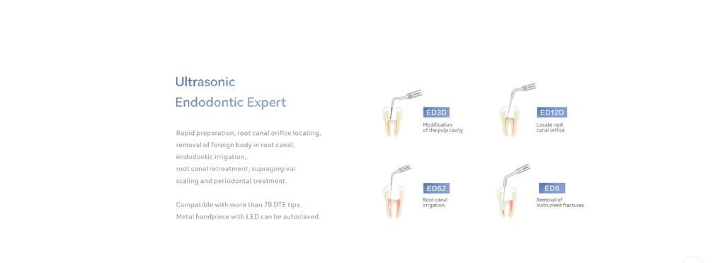 Woodpecker DTE D600 LED Ultrasonic Piezo Scaler