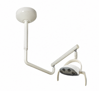 Flight Torch LED Ceiling Mounted Light